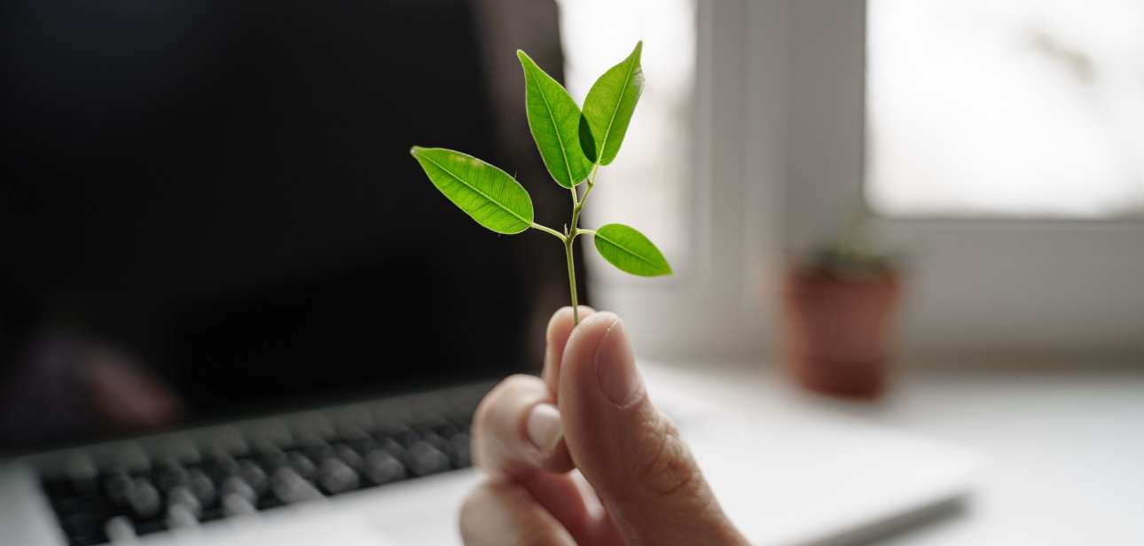 Hand with green plant on the laptop background. E-waste concept. Carbon tech footprint