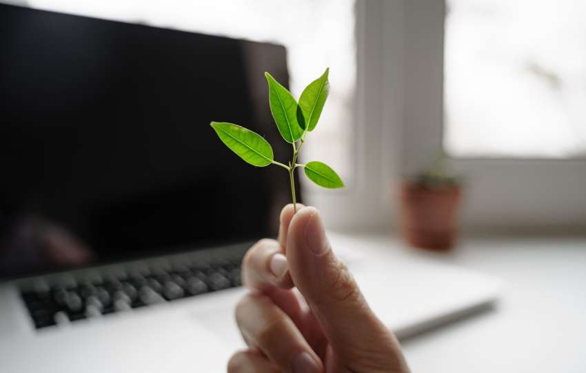 Hand with green plant on the laptop background. E-waste concept. Carbon tech footprint