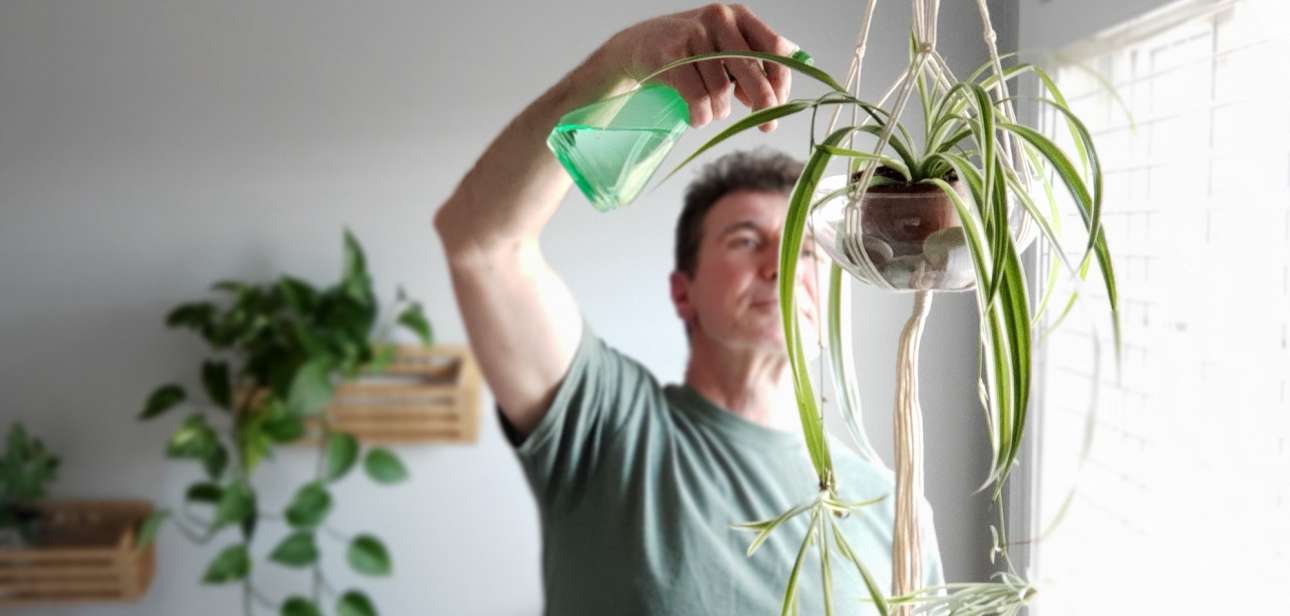 Men doing chores, watering indoor plants, man growing plants